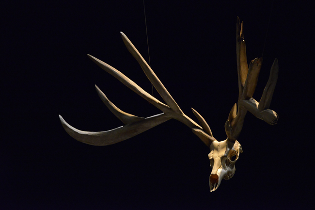 Antlers