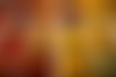 The Colors of Spice