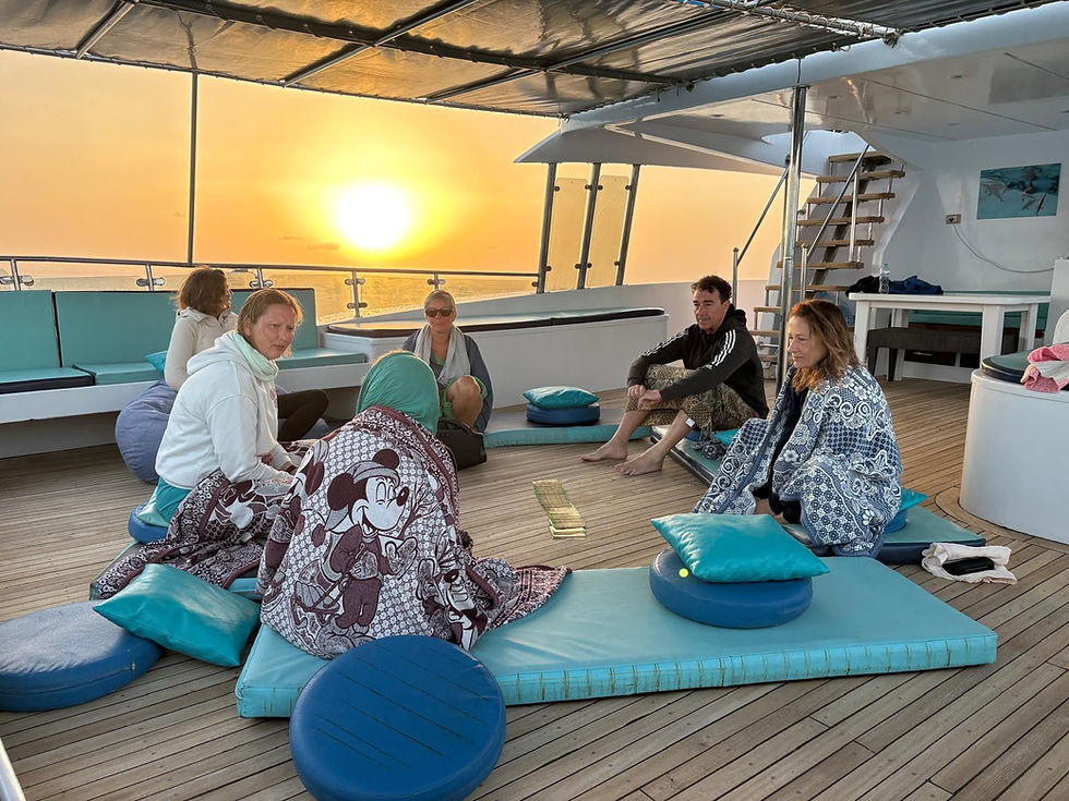 DolphinRetreat17.jpeg