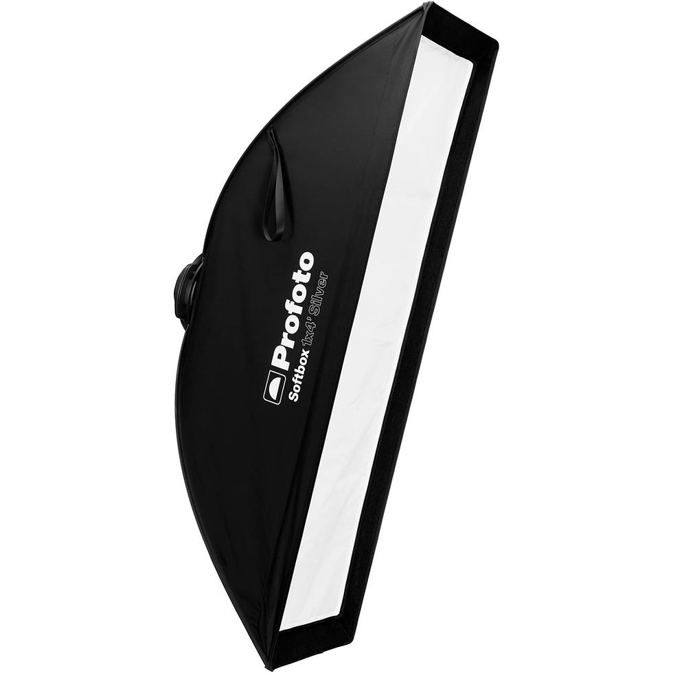 Profoto ソフトボックス 30×120cm(x2)