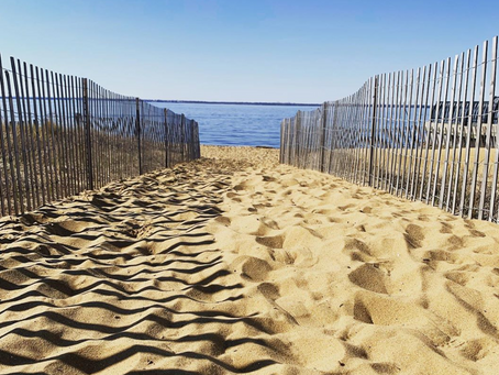 The Hidden Shore