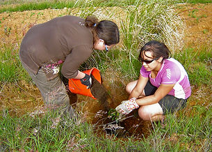 voluntarios_03.jpg