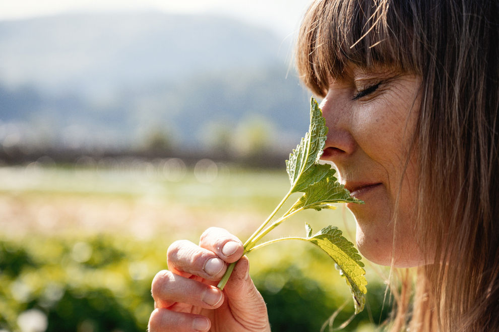 il ritorno - DSC_3968.jpg