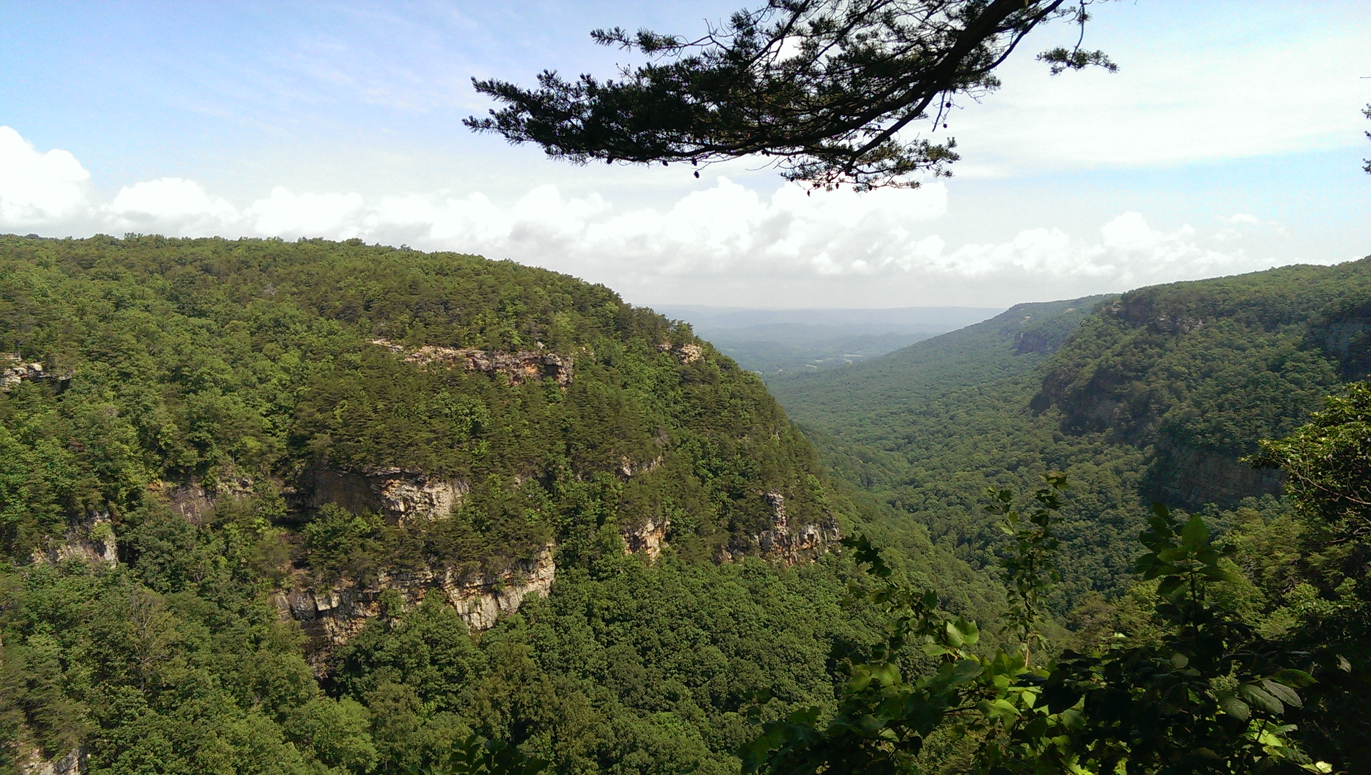 Cloudland Canyon from the Main Overlook, Rising Fawn