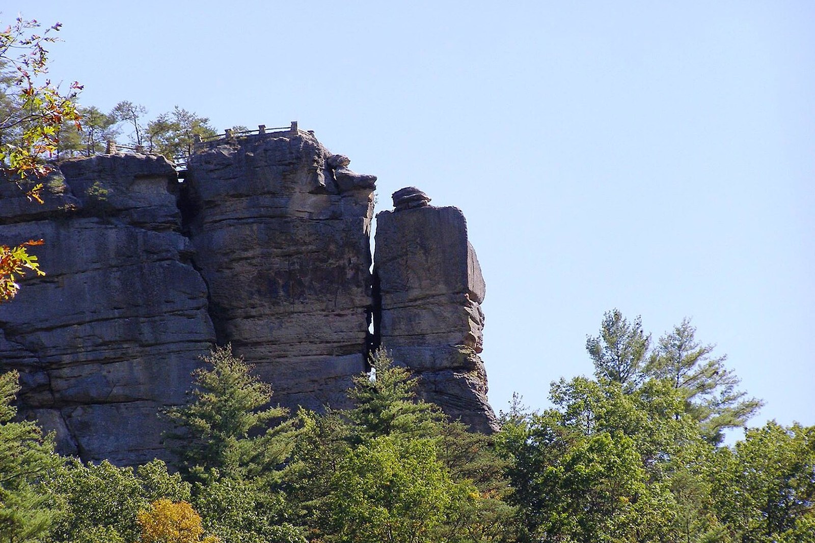Daniel Boone National Forest sandstone and forest