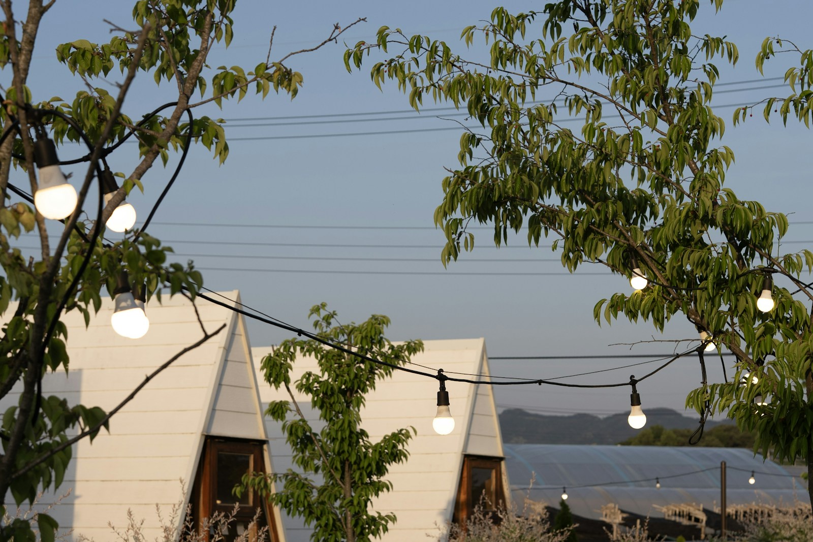 Stay exterior, A-frame lodges, no faces