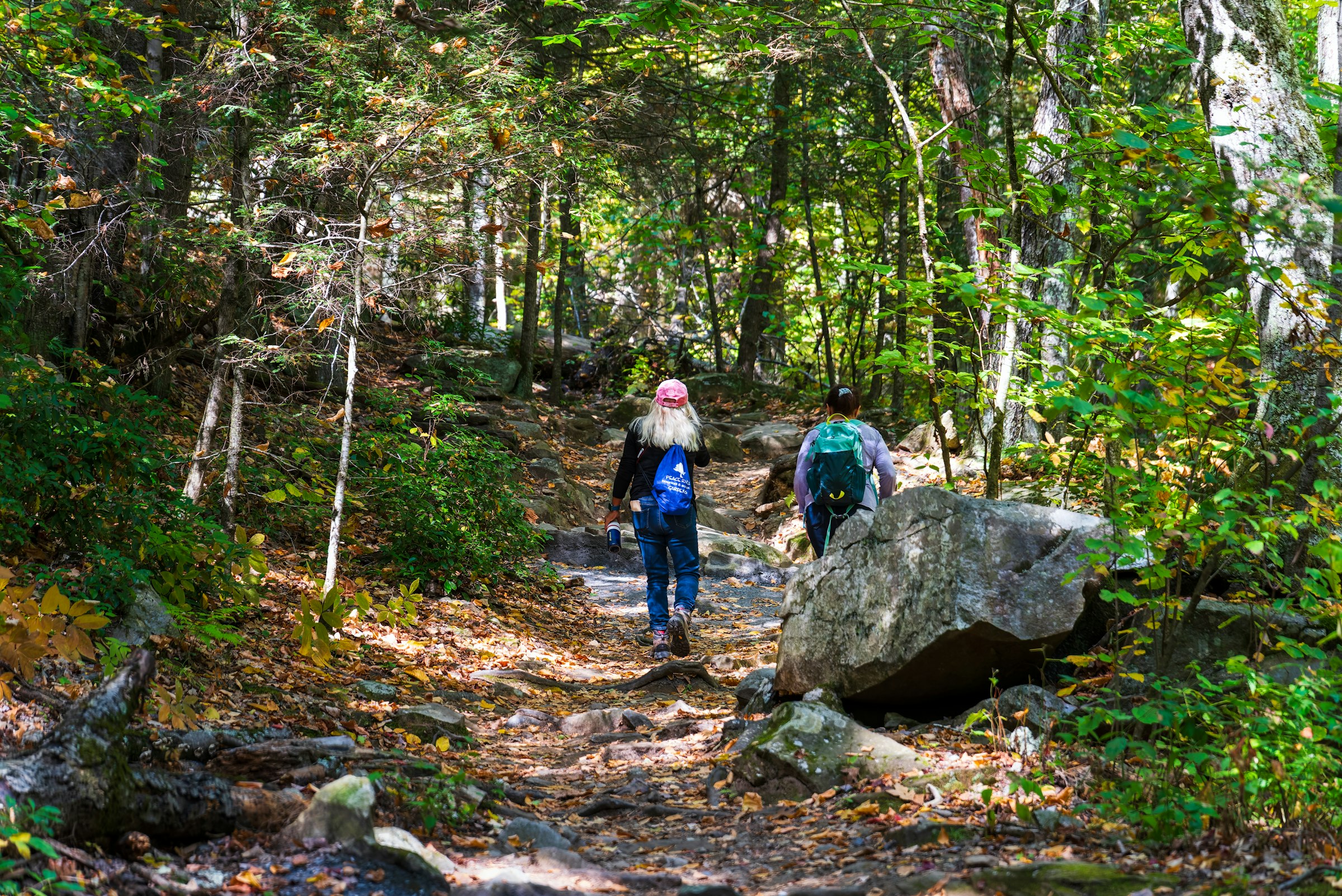 Hikers on the trail toward the summit of Monument Mountain in Great Barrington, Massachusetts. Unsplash, location-tagged Great Barrington.