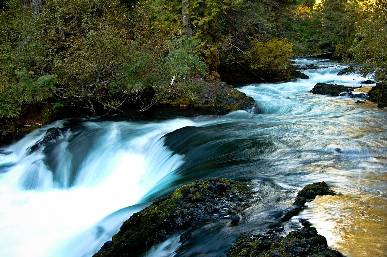McKenzie River above Koosah Falls, Willamette National Forest.