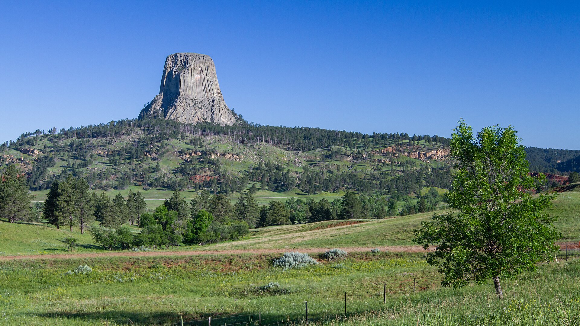 Devils Tower National Monument, Wyoming, photograph