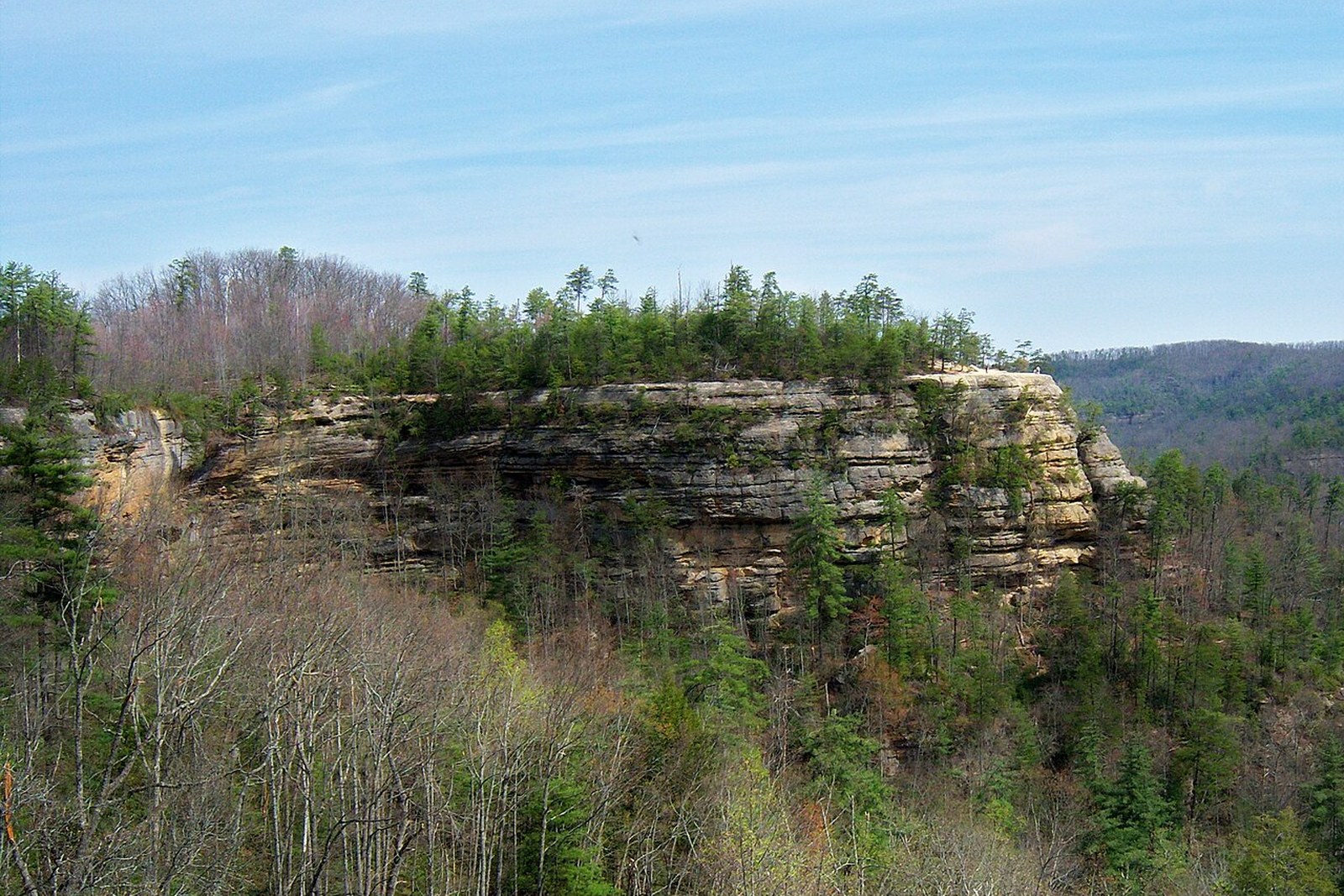 Sandstone cliff in the Red River Gorge