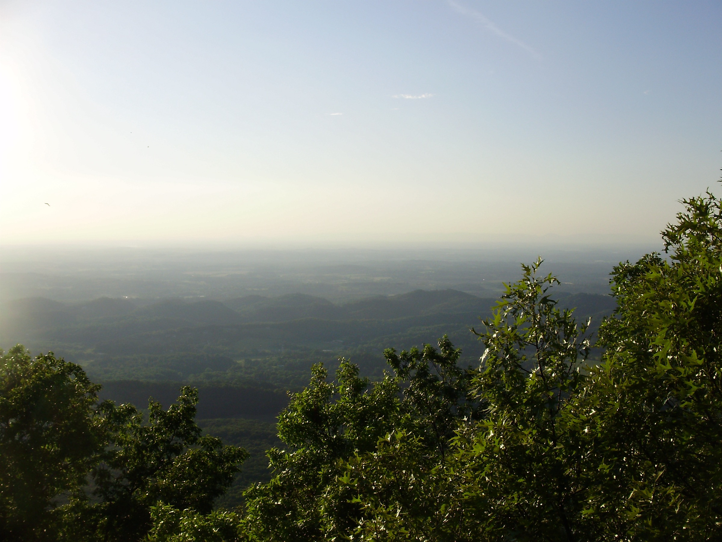 West view from Look Rock toward the Blount County valley