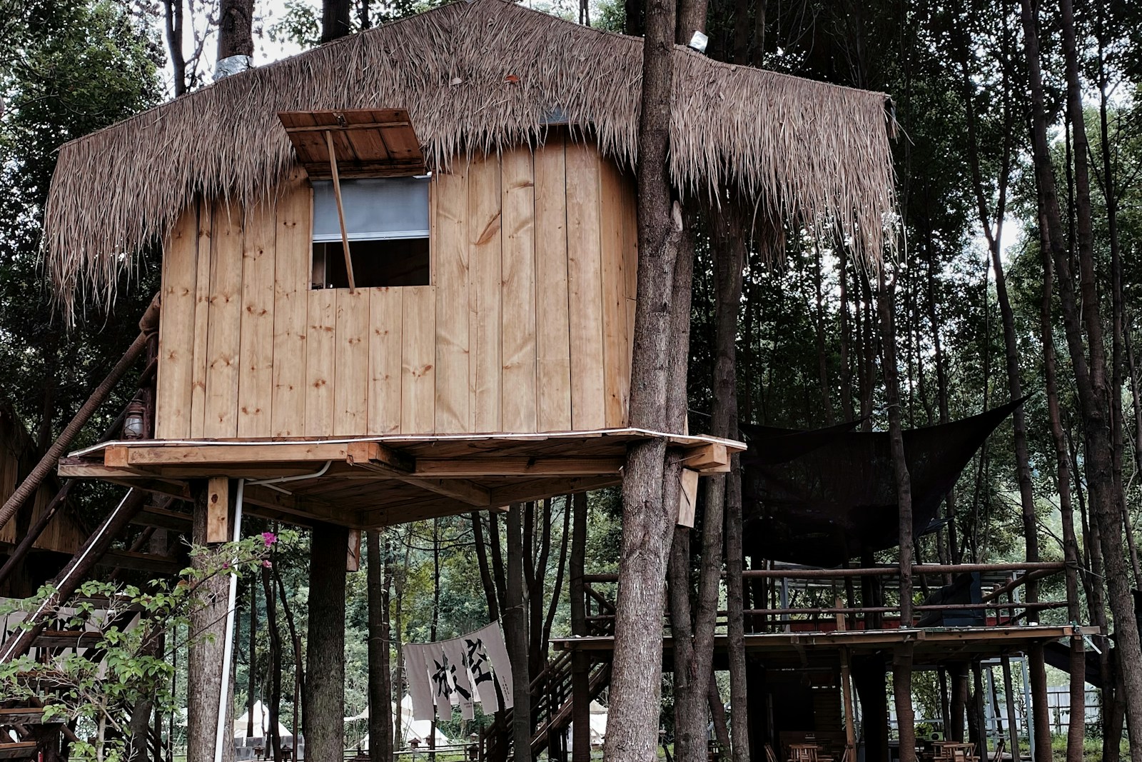 Wood treehouse on stilts with a thatch roof, no people