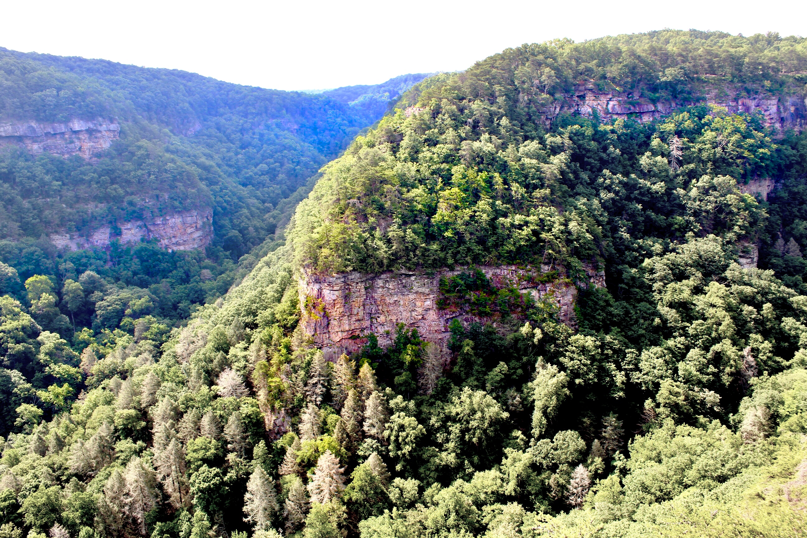 Western rim of Cloudland Canyon, Georgia