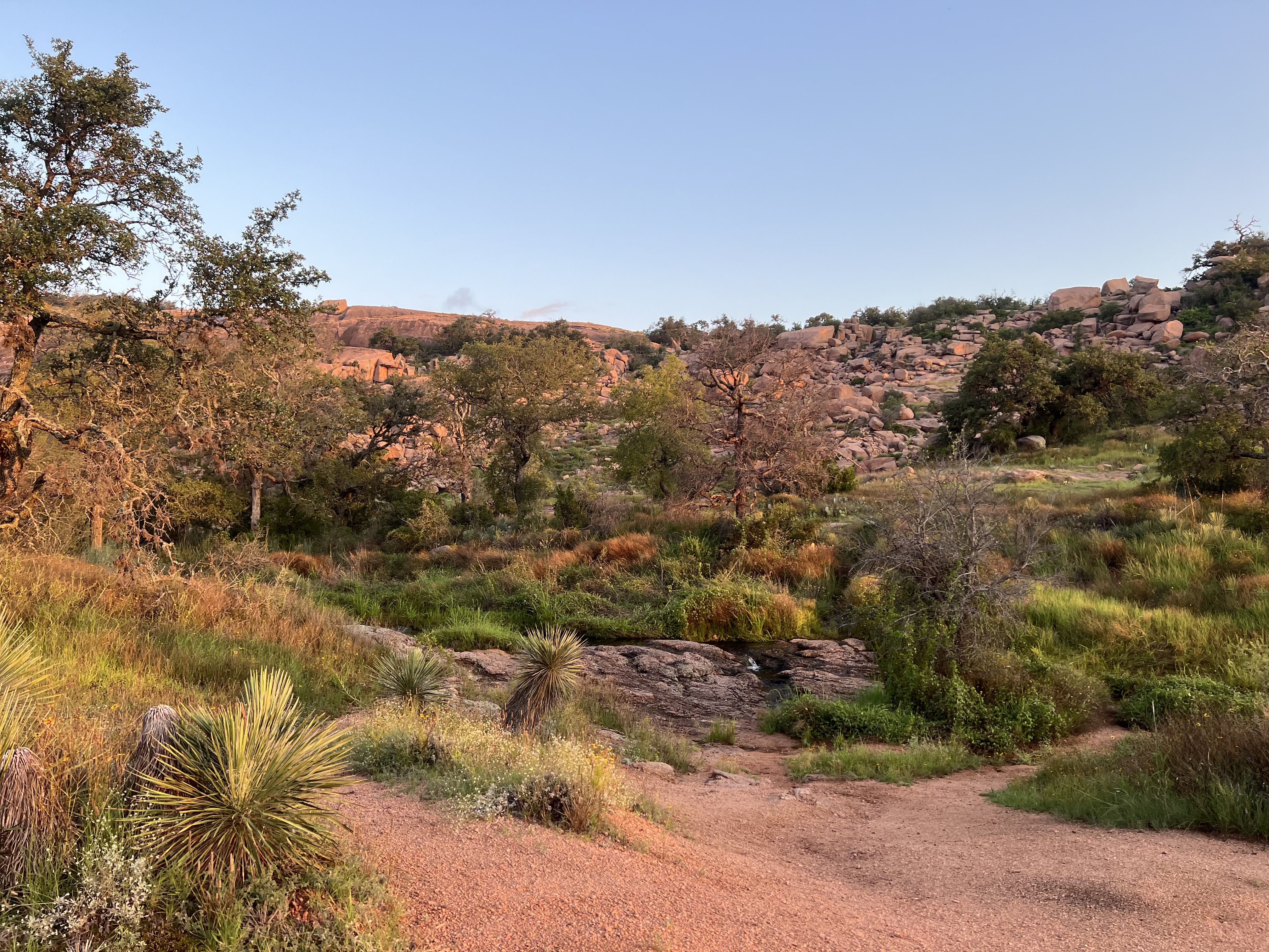 Enchanted Rock granite dome north of Fredericksburg, Texas