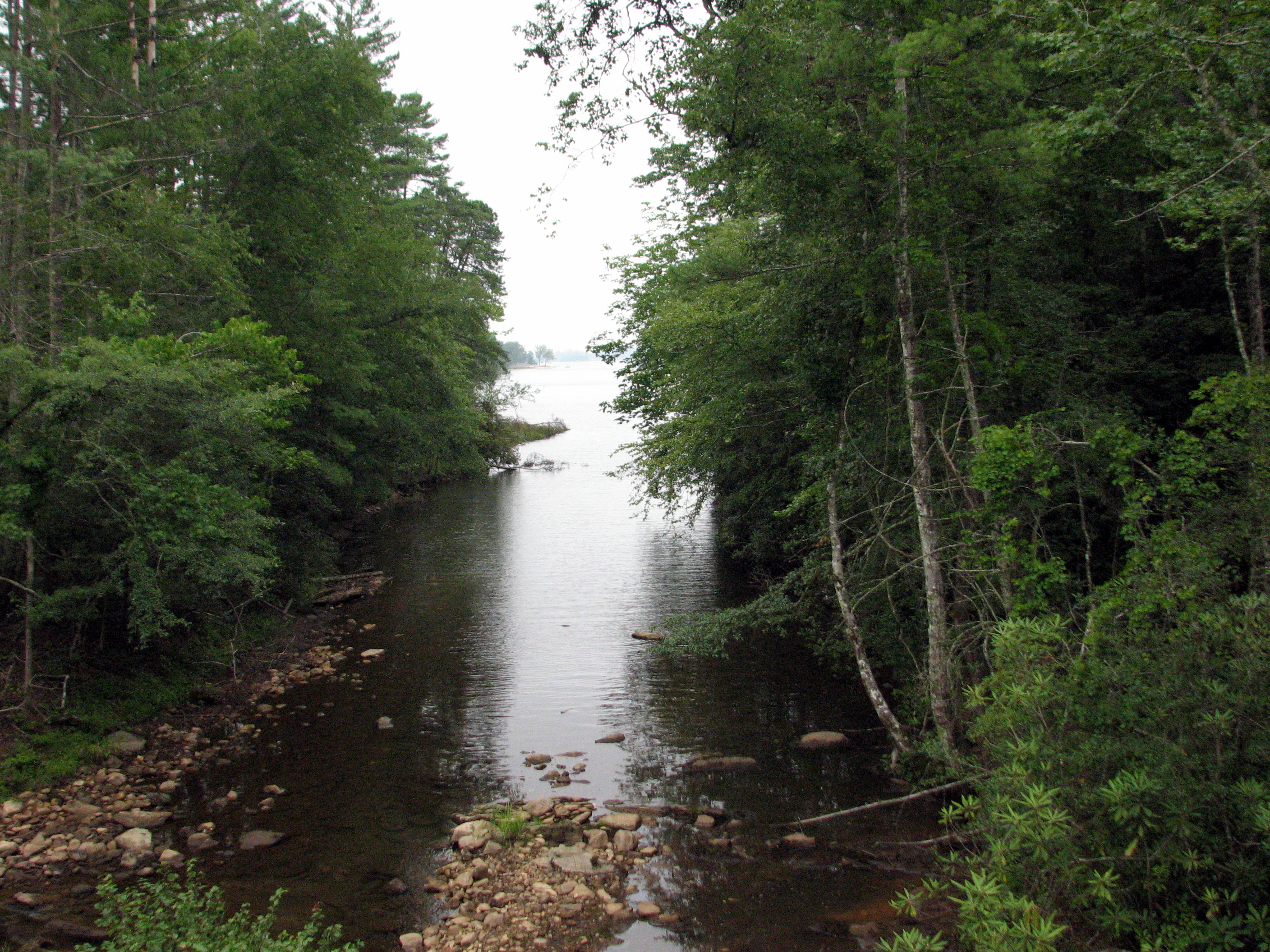 Lake James State Park water and woods in quiet season light