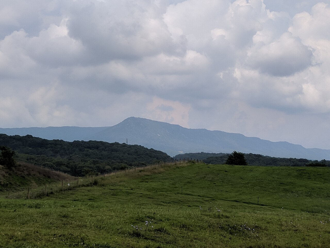 Massanutten Mountain peak above a green pasture in Virginia.