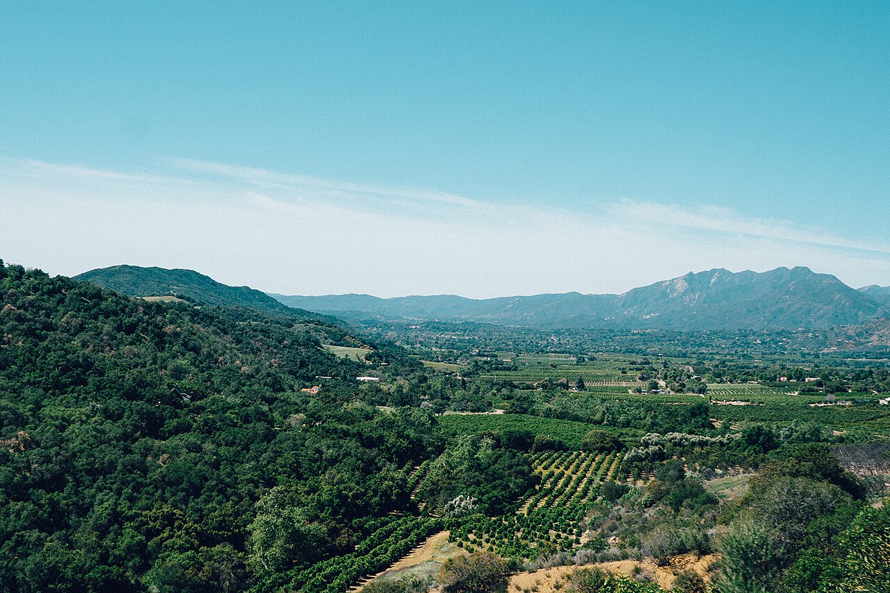 Citrus groves and oak hills across the Ojai Valley.