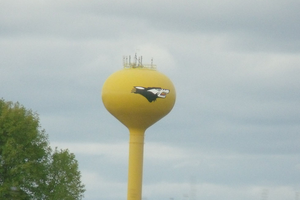 Algoma water tower with the Wolves mascot, City of Algoma, Wisconsin