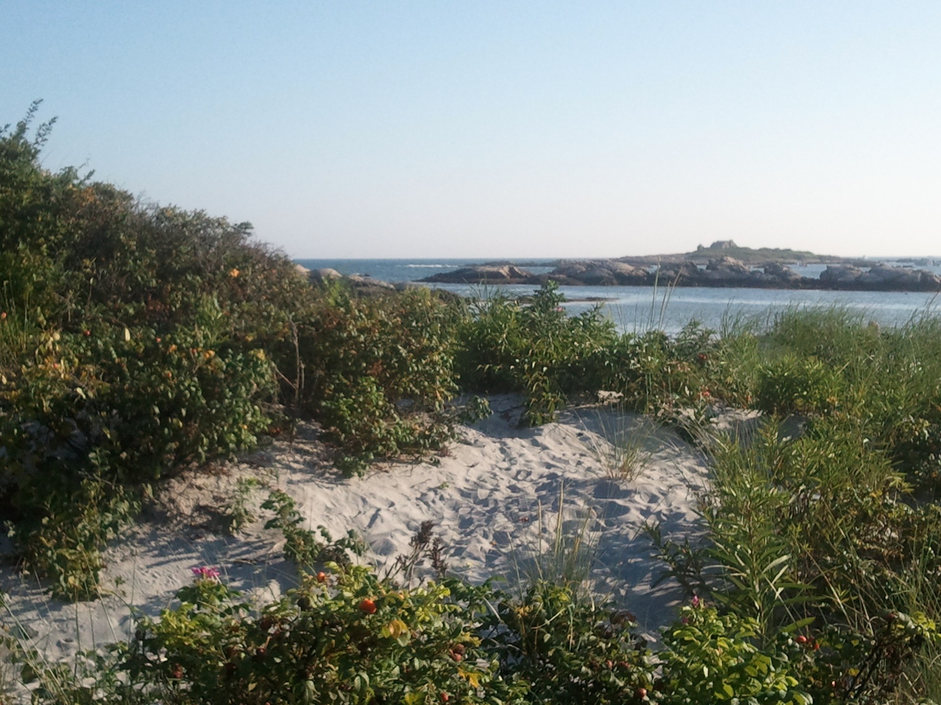 Gooseberry Island from the Cliff Walk, Newport