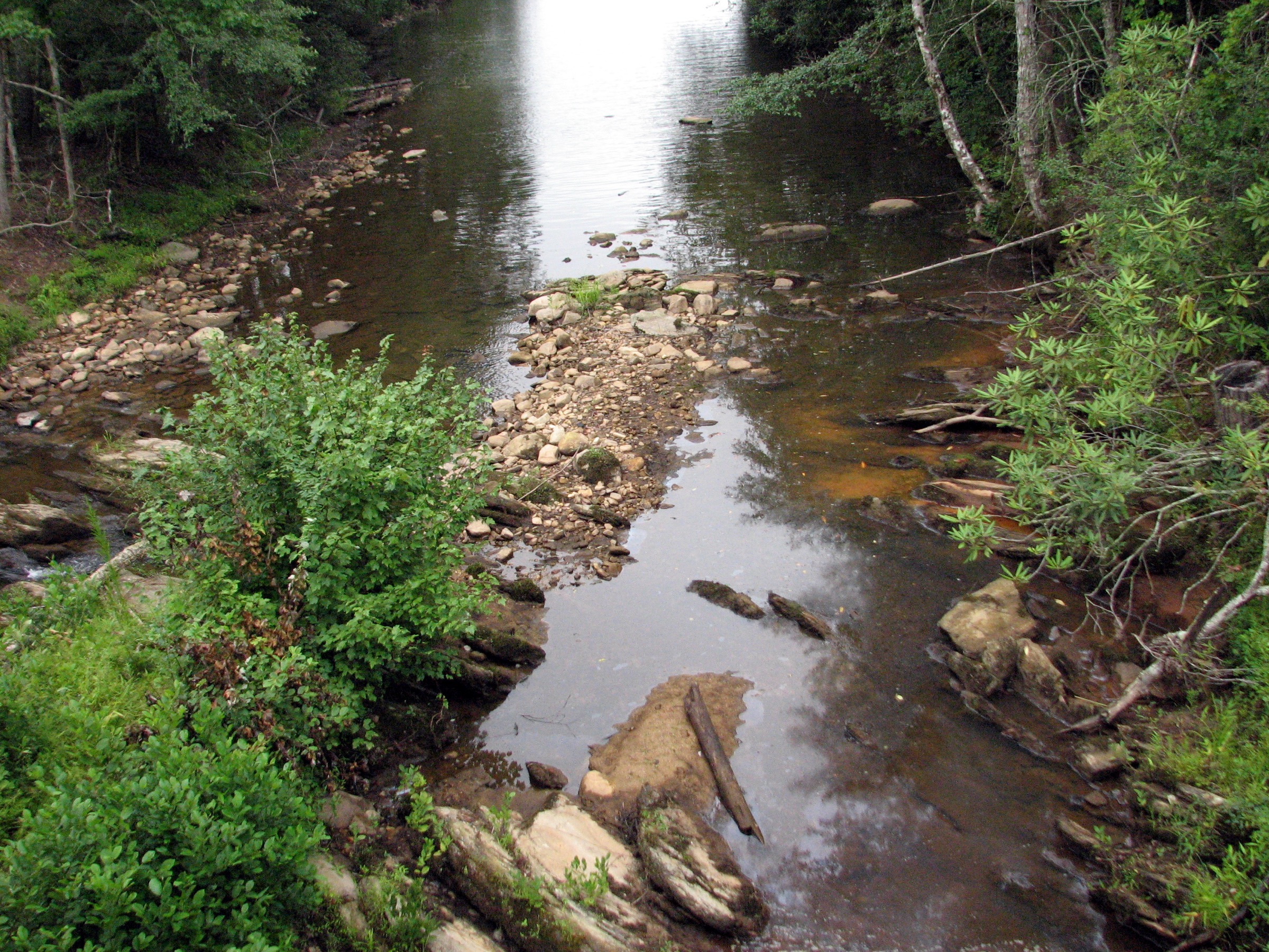 Creek mouth entering Lake James through rocks and rhododendron