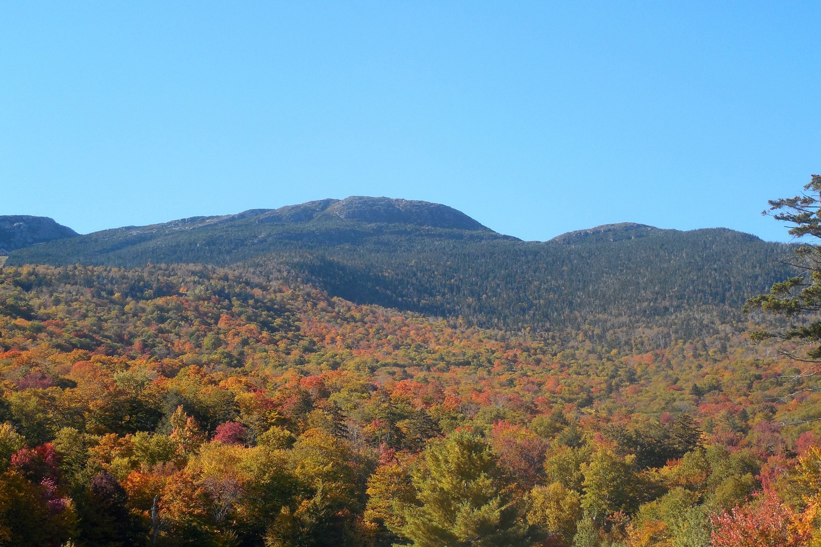 Mount Mansfield ridgeline above autumn foliage from Stowe