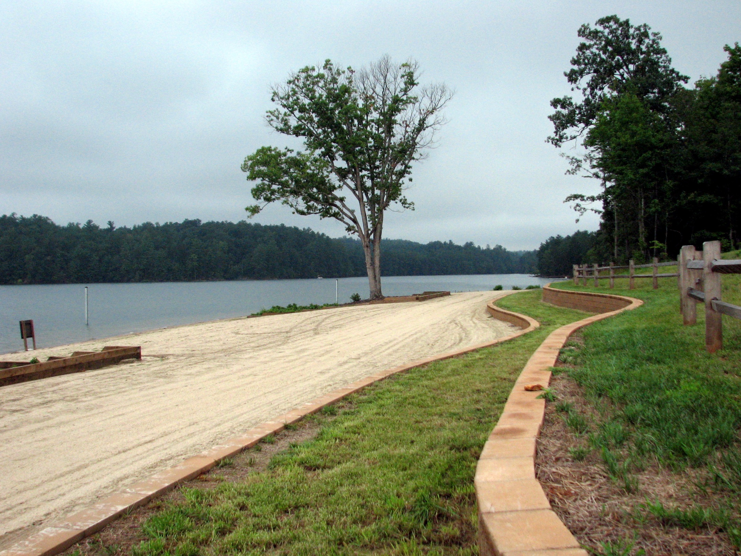 Paddy's Creek swimming beach and shoreline tree at Lake James