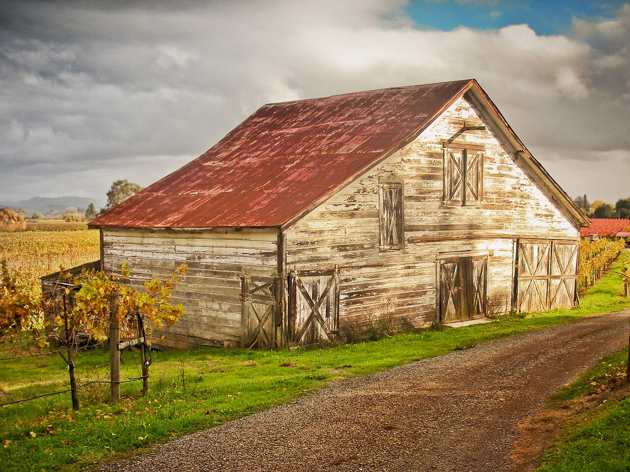 Barn and vineyard road near Healdsburg