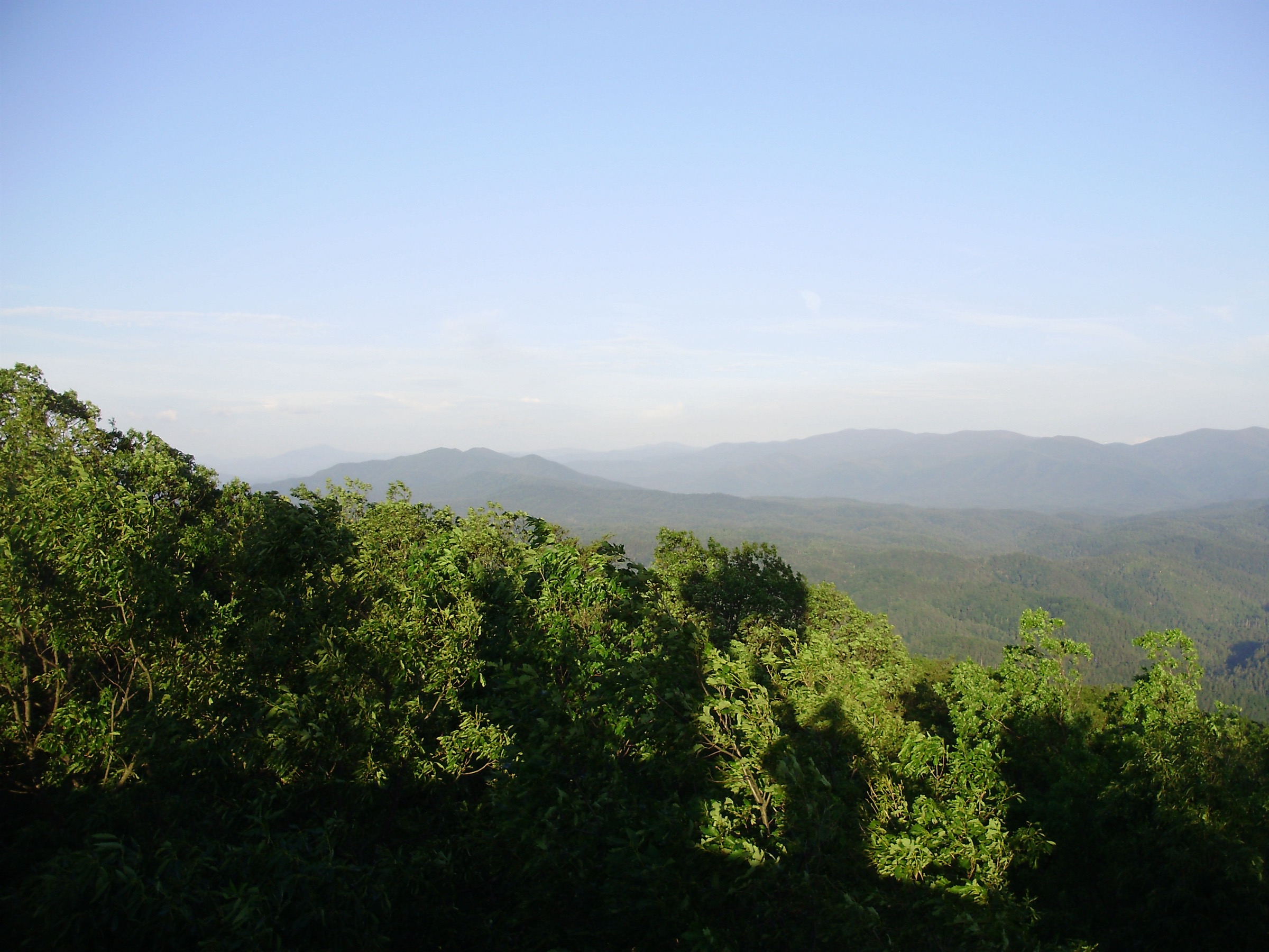 Forested ridges from Look Rock toward Great Smoky Mountains National Park