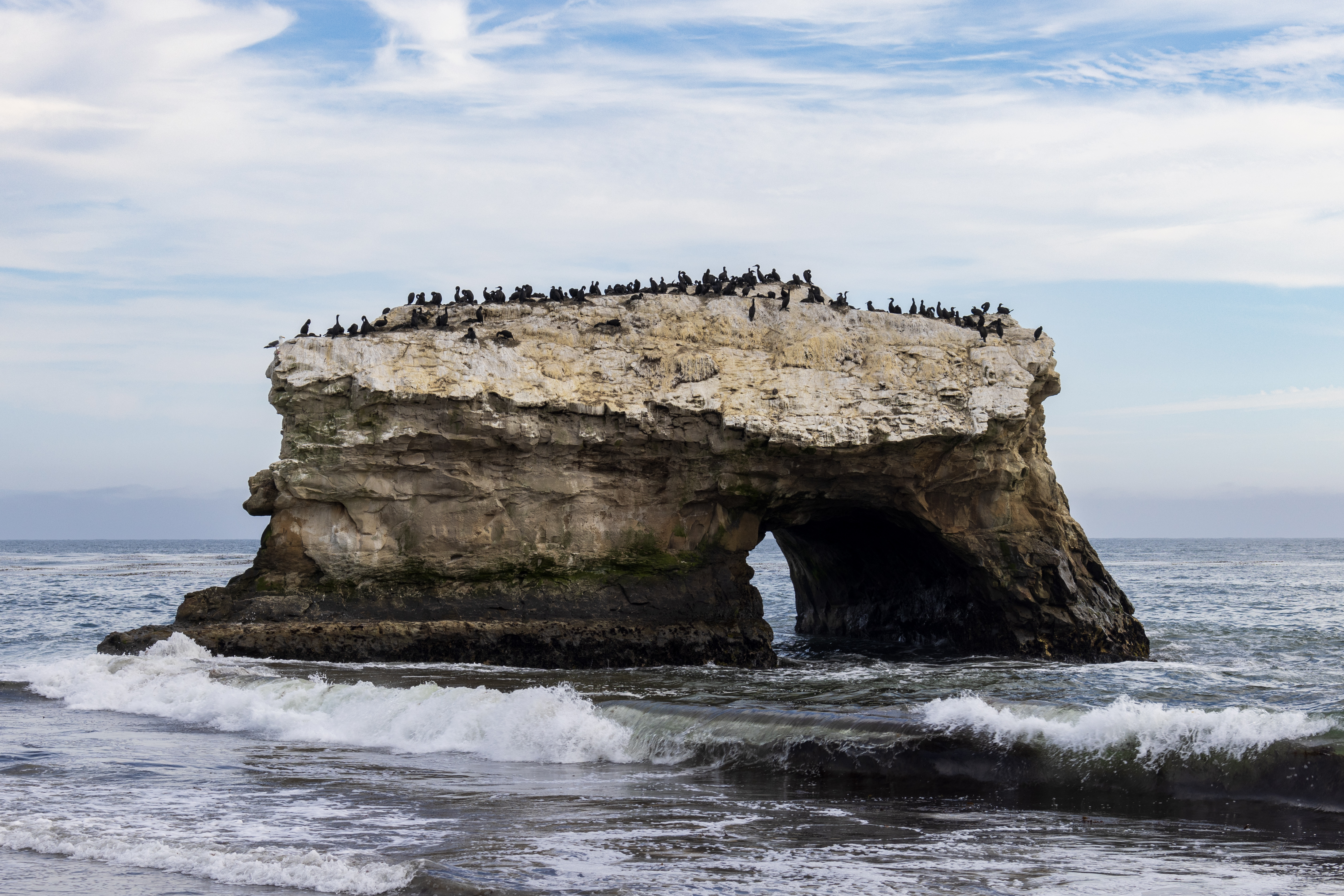 Natural Bridges State Beach in Santa Cruz, California