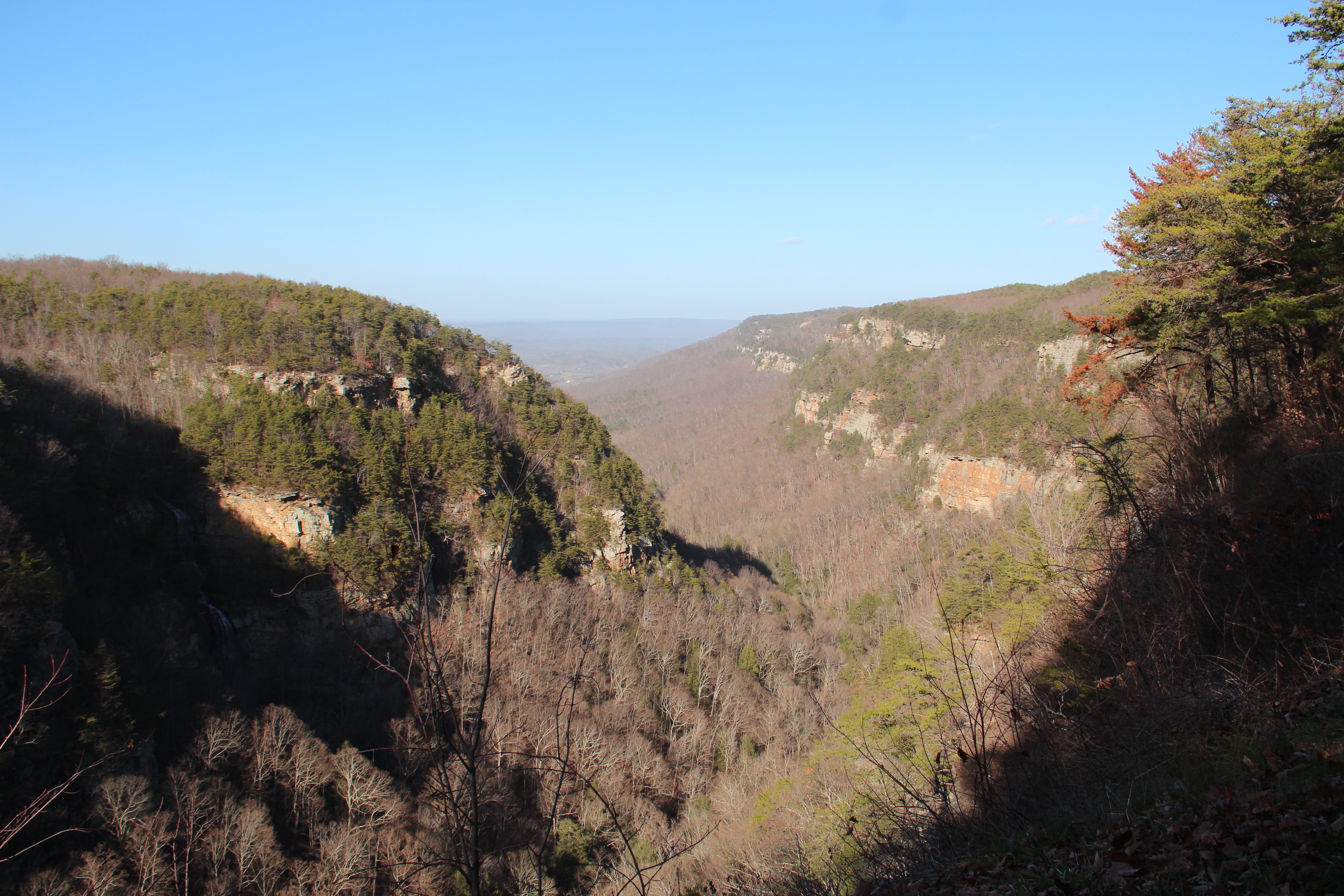 Cloudland Canyon gorge from a Rising Fawn overlook