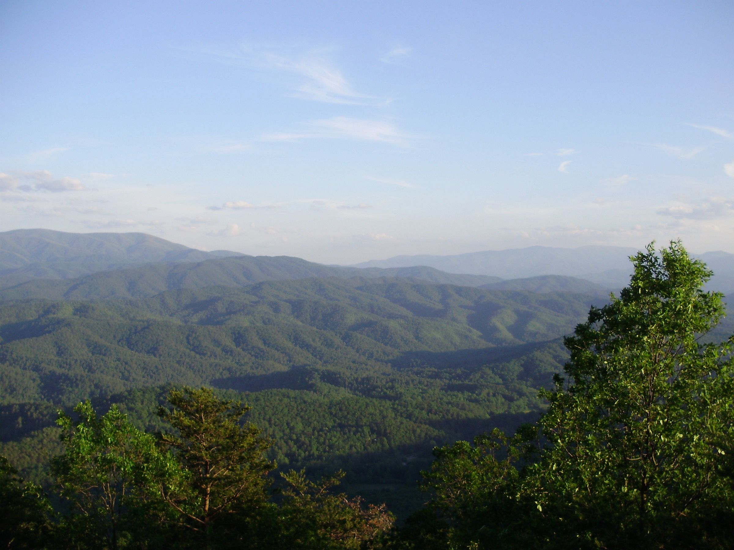 Ridges from Look Rock on Foothills Parkway West