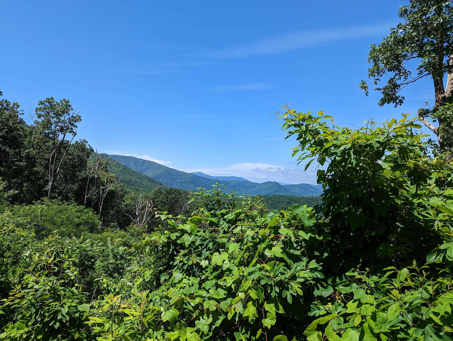 Great Smoky Mountains, photograph