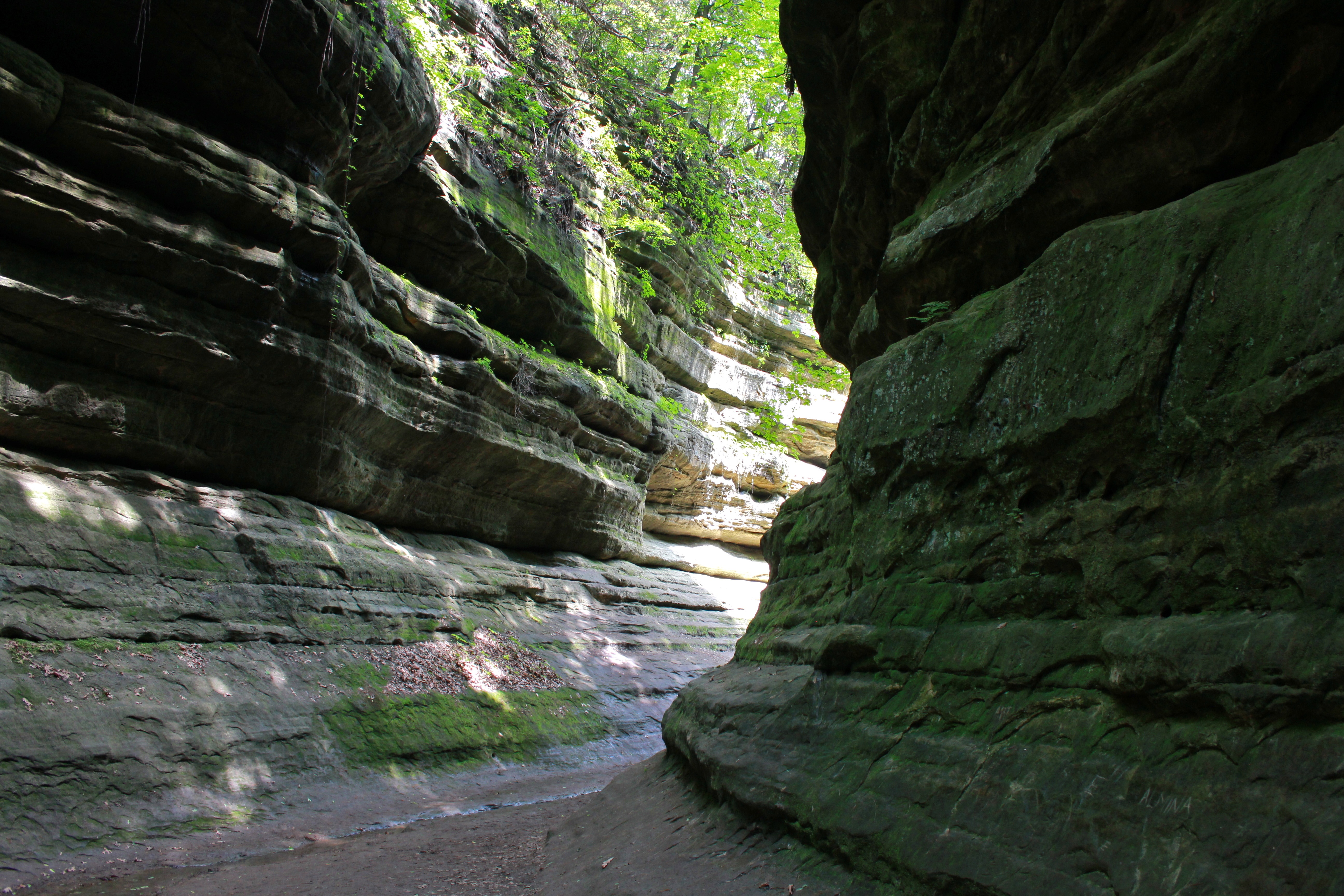 French Canyon at Starved Rock State Park, Illinois
