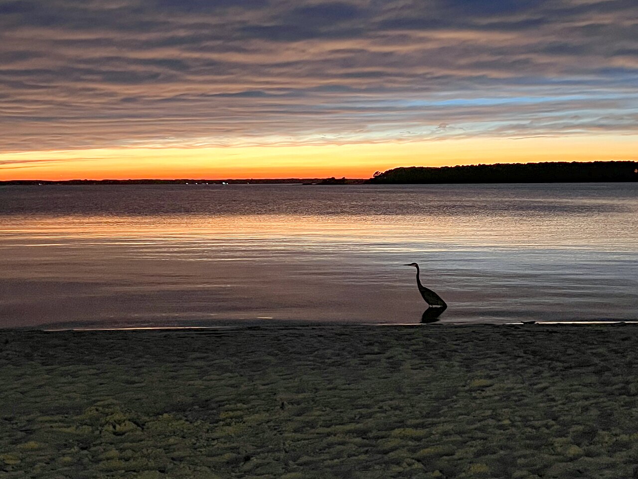 Sunset over a Delaware bay beach with a heron
