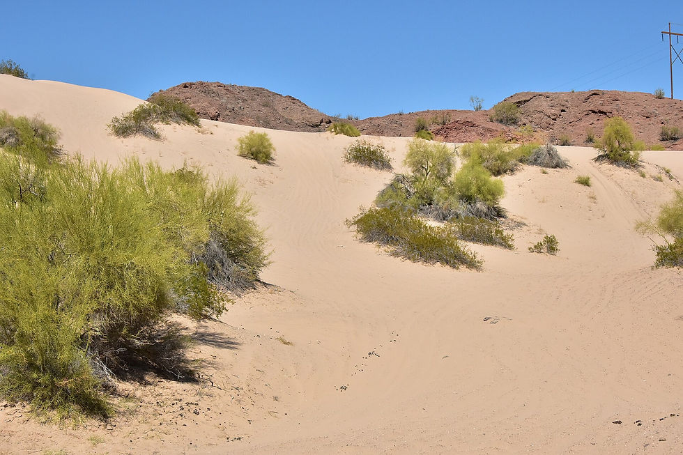 Sand dunes and desert scrub along Lake Havasu, no people