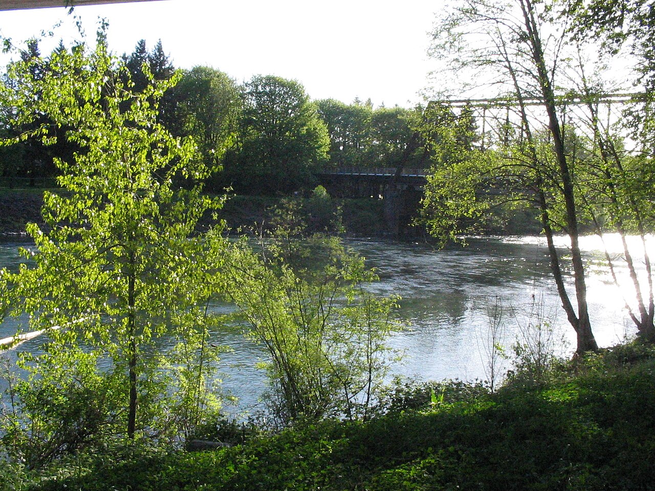 Lower McKenzie River in Lane County, Oregon.