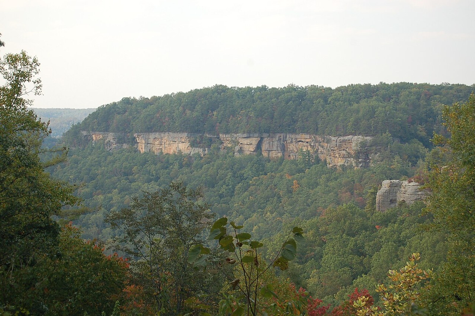 Geological overlook in Red River Gorge Daniel Boone National Forest