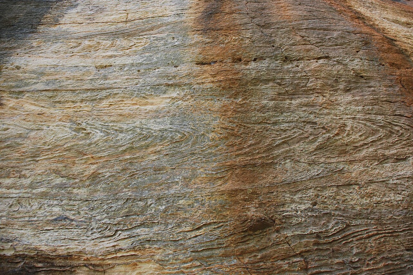 Red River Gorge sandstone wall close-up