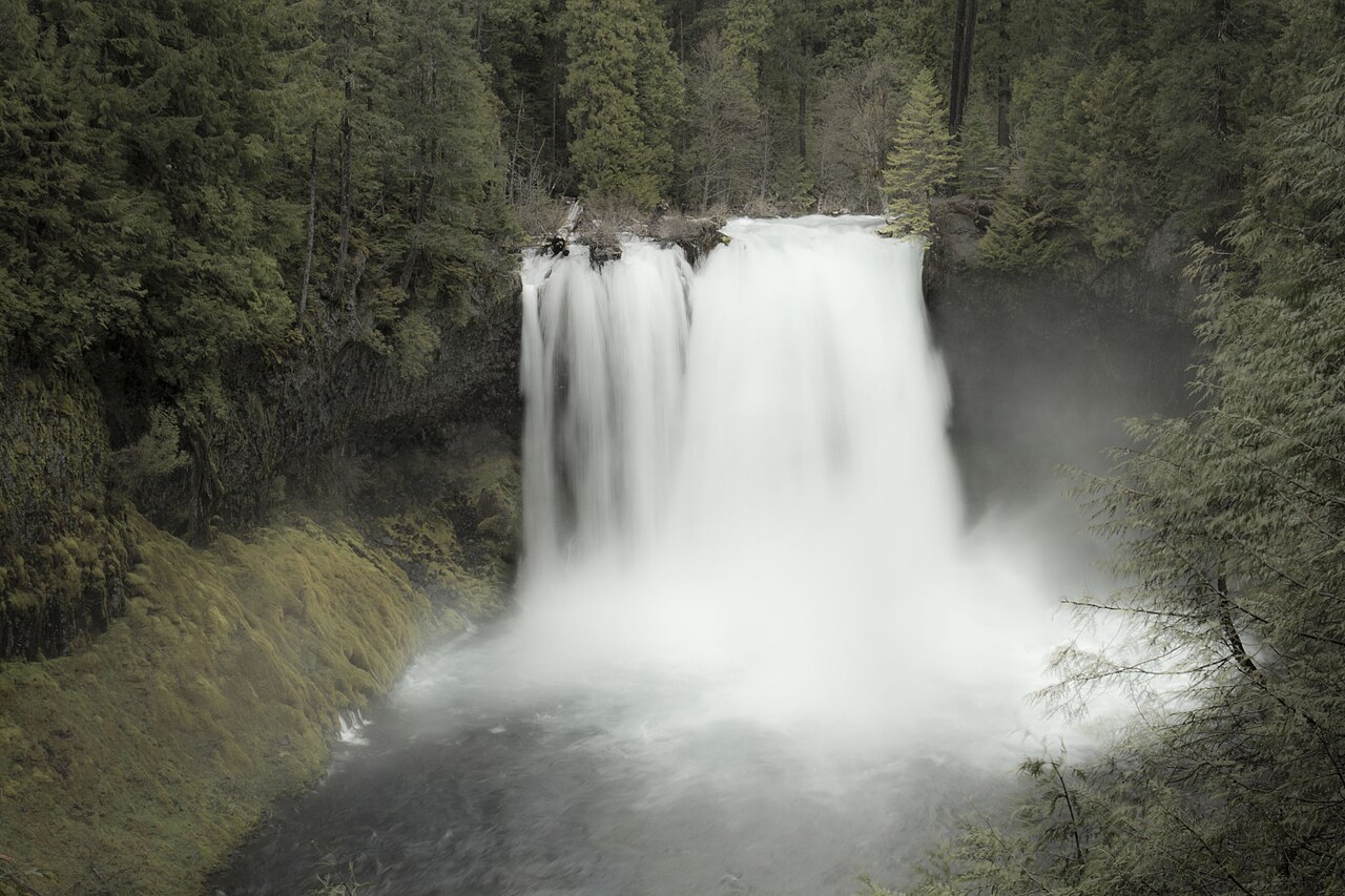 Koosah Falls in Willamette National Forest, Oregon.