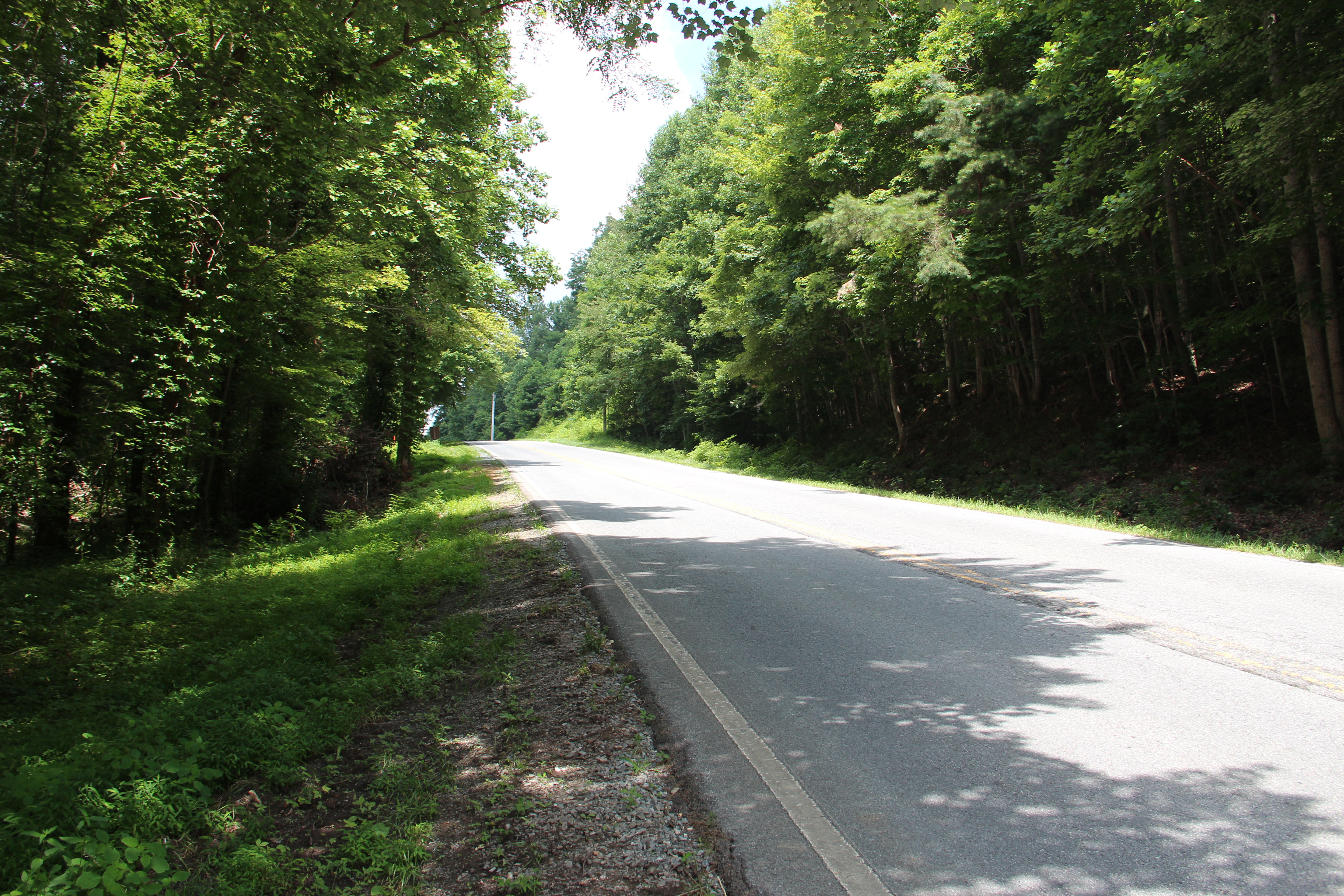 Aska Road in Fannin County, Georgia toward the adventure-area trailheads