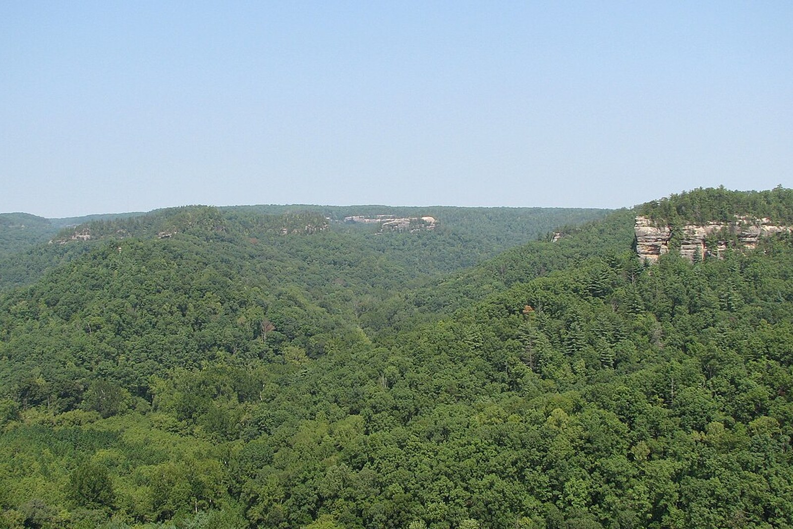 Hanson Point overlook in Red River Gorge