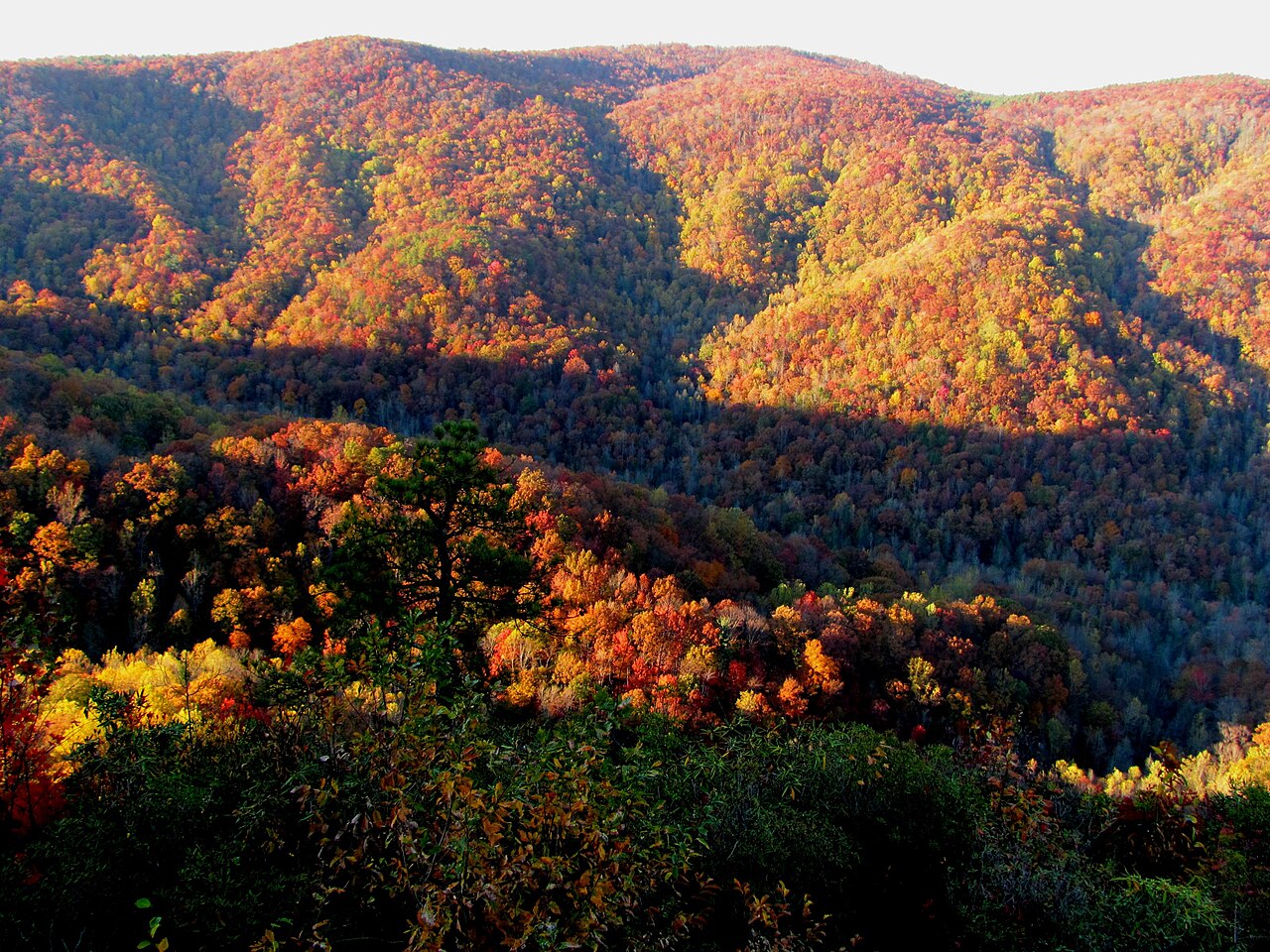 October color on the Mountain Bridge ridgeline above Pickens County, South Carolina.