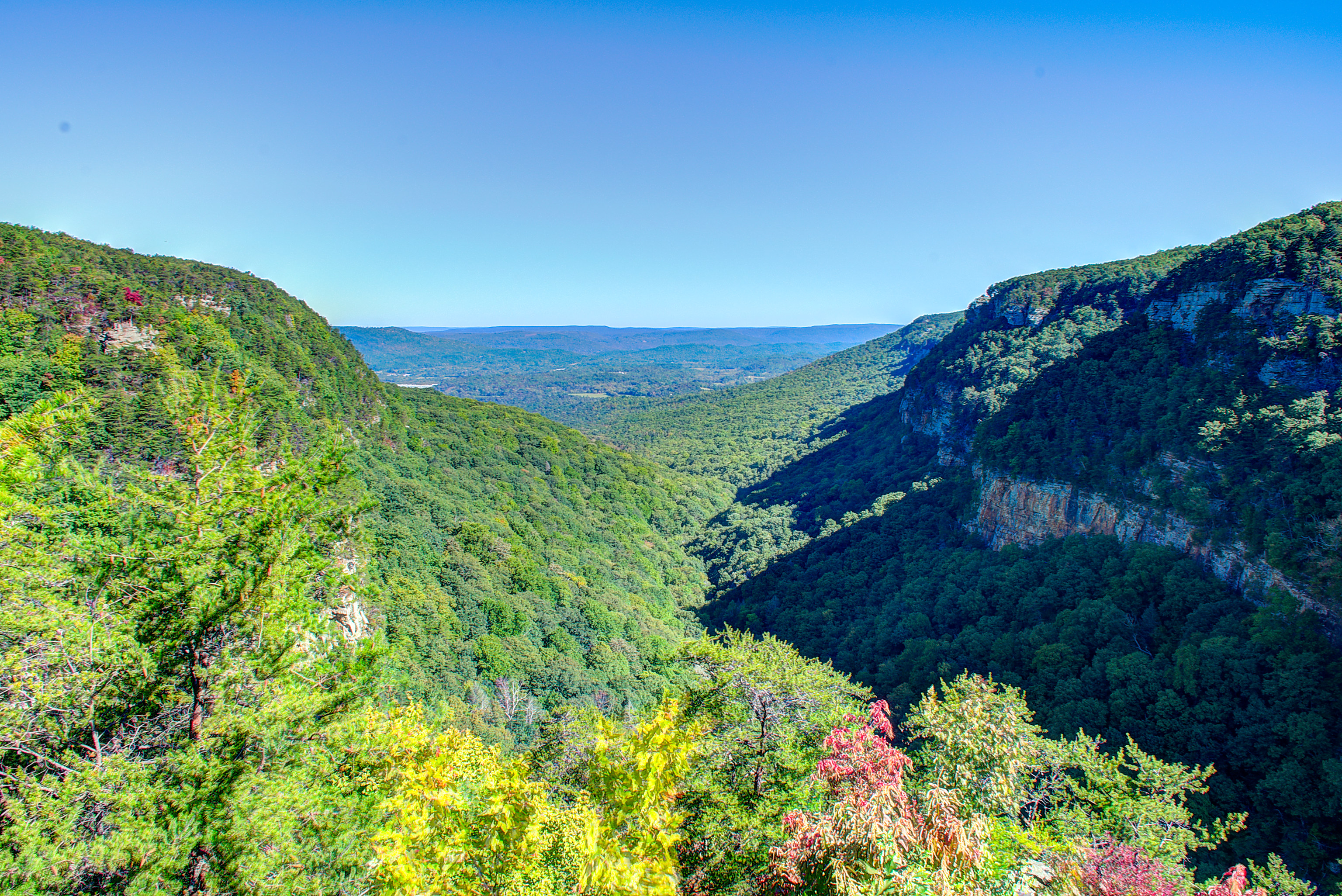 Cloudland Canyon sandstone rim in Dade County, Georgia