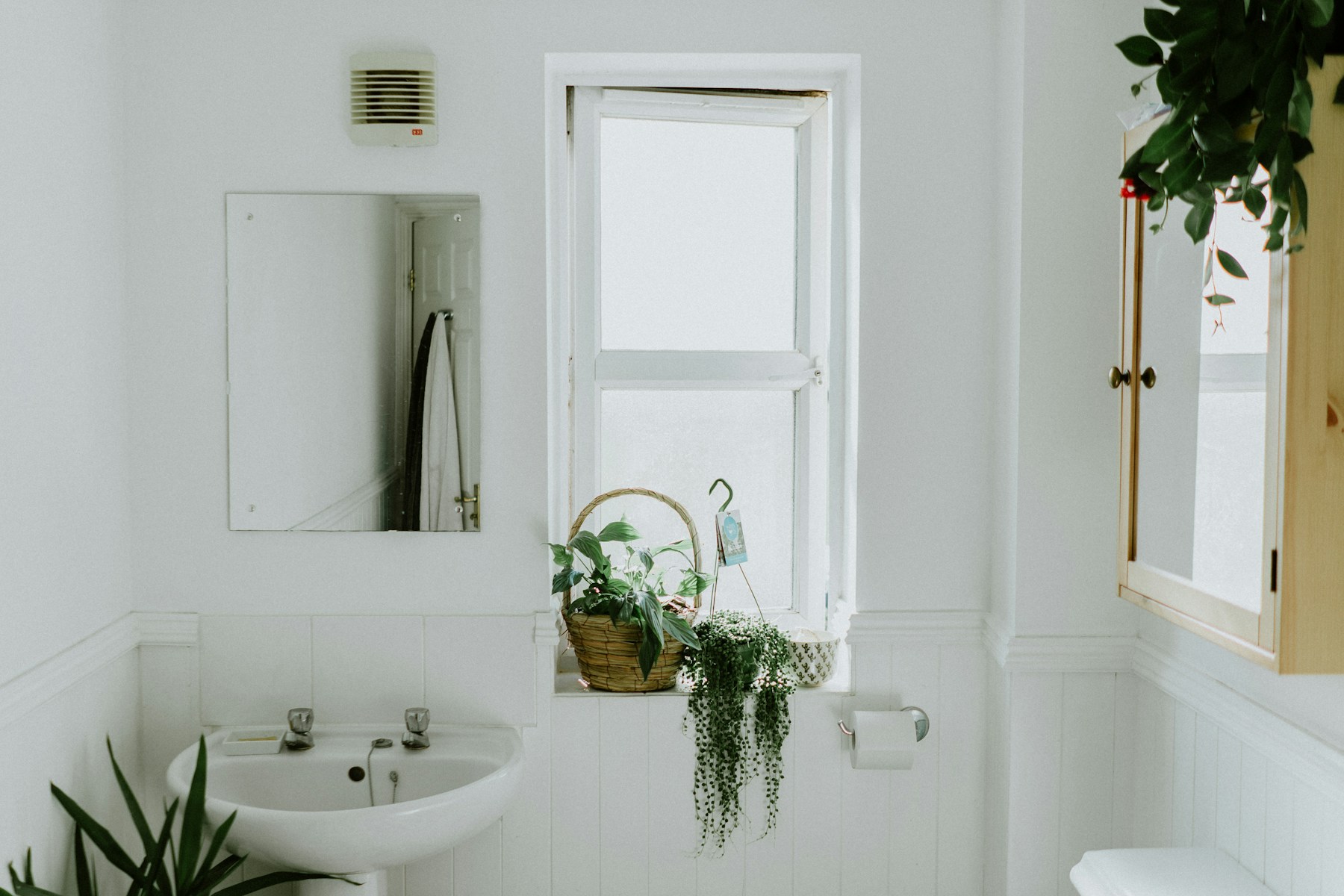 White rental bathroom with a window-sill plant and a pedestal sink