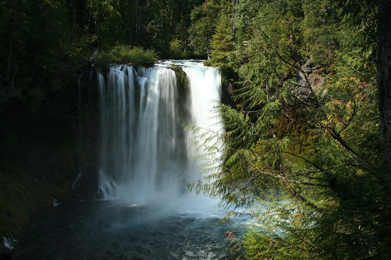Koosah Falls on the McKenzie River, Oregon.