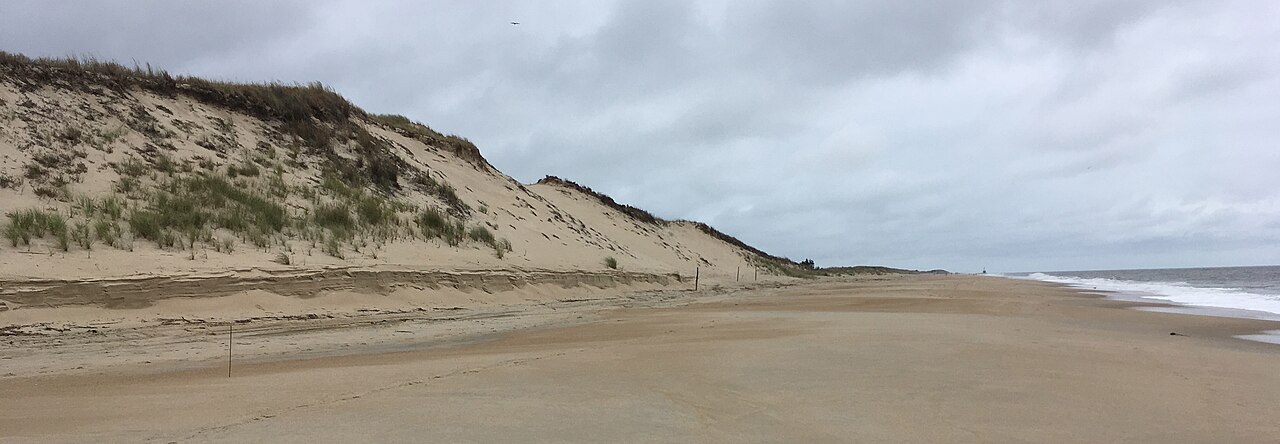Dune line and empty beach at Cape Henlopen State Park