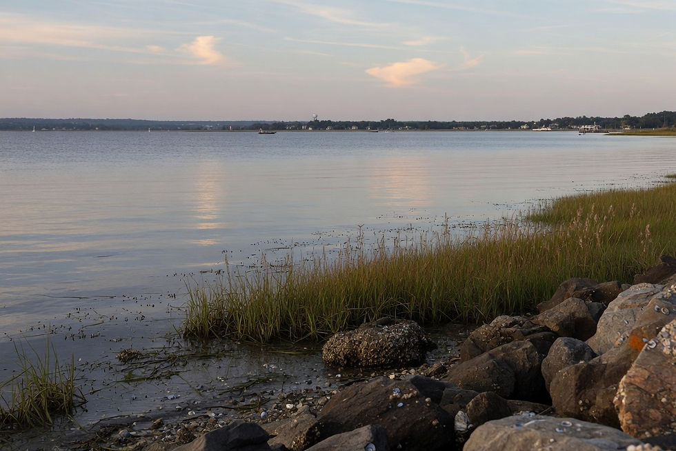 Chesapeake Bay from a Rock Hall point
