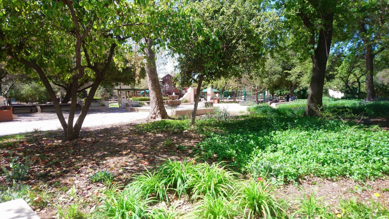 Oaks and a fountain in Libbey Park, Ojai, California.