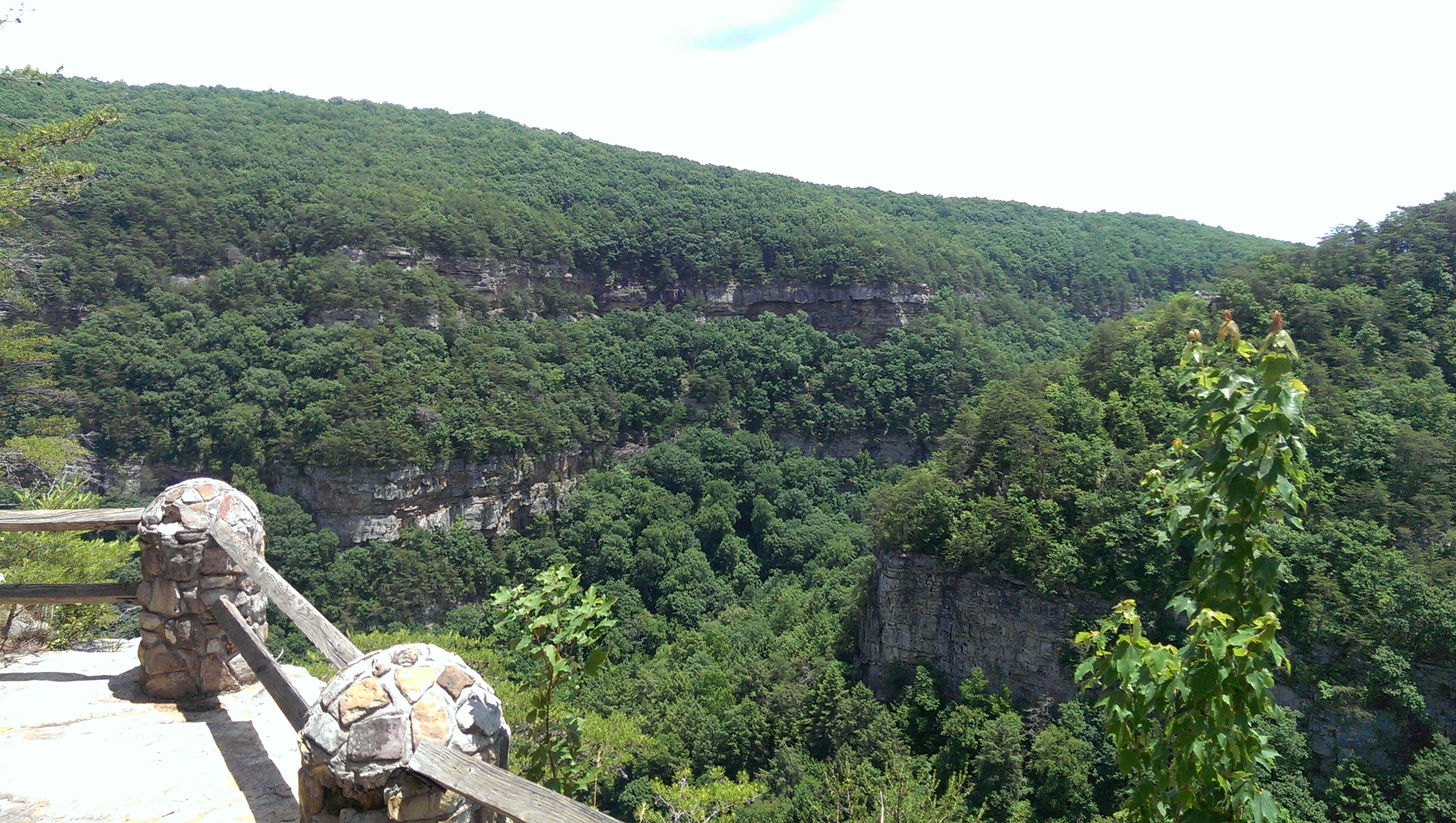 Canyon view from Cloudland West Rim, Rising Fawn