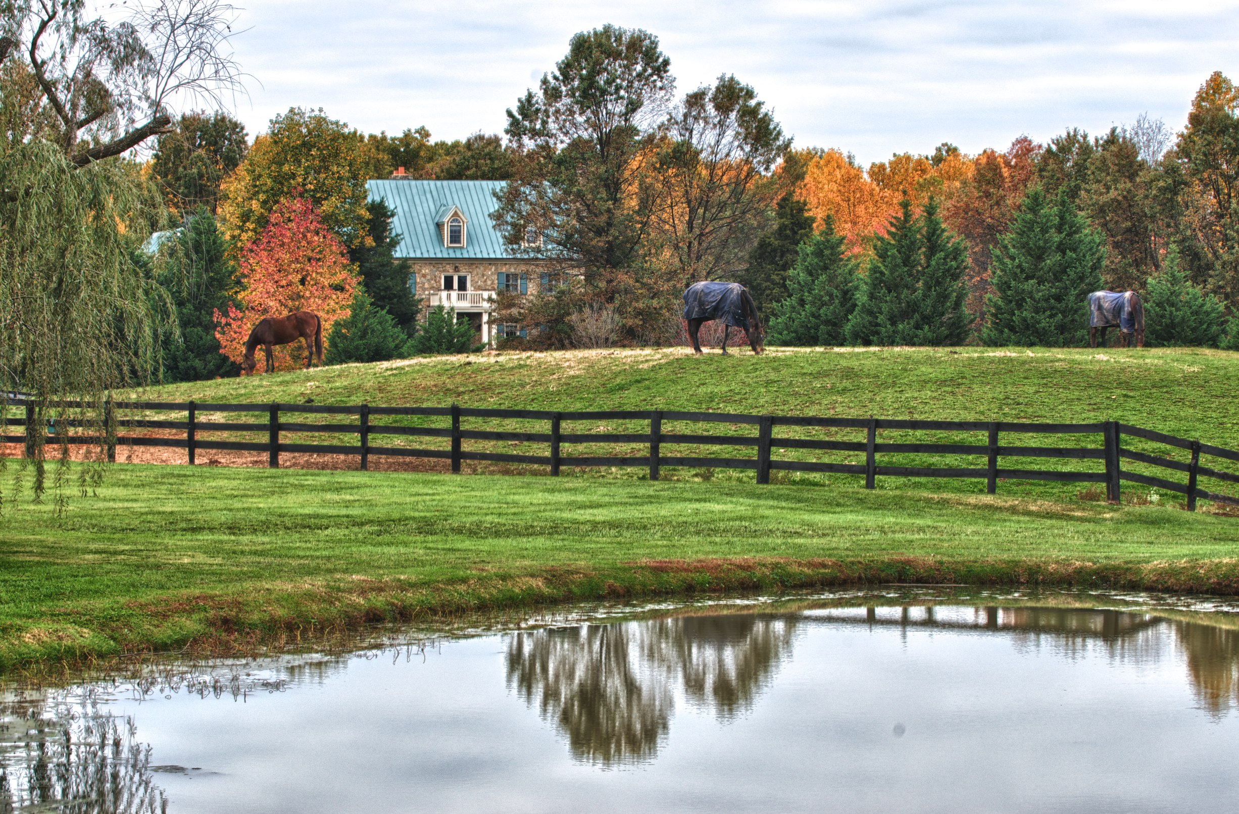 Horse country near Middleburg, Virginia